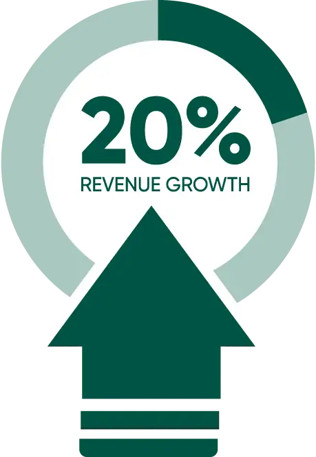 20 Percent Revenue Growth